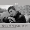 About 爱你是那么的辛苦 Song