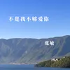 About 不是我不够爱你 Song