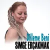 About Dilleme Beni Song