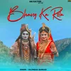 About Bhang Ka Rola Song