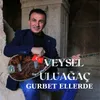 About Gurbet Ellerde Song