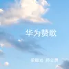 About 华为赞歌 Song