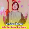 About Gula Der Yama Preshana Song