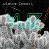 About Winter Desert Song