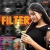 About Filter Song