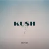 About Kush Song