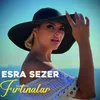 About Fırtınalar Song