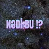 About NƏDİ BU !? Song