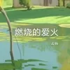About 燃烧的爱火 Song