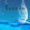 About 你还在郑州吗 Song