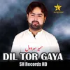 About Dil Tor Gaya Song