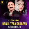 About Babul Tera Ghareeb Song