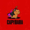 Capybara Song