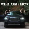 About Wild Thoughts Song