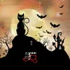 About 我的猫 Song