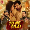 About Tu Ne Esi Pilai Song