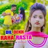 About Dil Dekh Raha Rasta Song