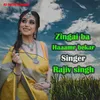 About zingai ba haaamr bekar Song