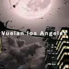 About Vuelan los Angeles Song