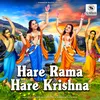 About Hare Rama Hare Krishna Song