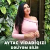 About Dəliyəm Bilir Song