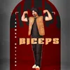 About Biceps Song