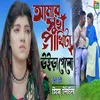 About Amar Shuk Pakhita Uira Galo Re Song