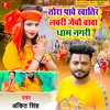 About Tora Pave Khatir Lavri Jaibau Baba Dham Nagri Song