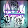 About Cat Sa Astept Song