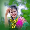 About Biyain gorom lage khub Song