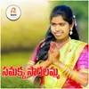 About Samakka Saralamma Song