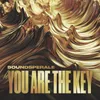 You Are The Key