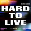 About HARD TO LIVE Song