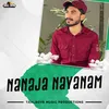 About Nanaja Nayanam Song