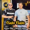 About Galo Galo Song