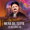 About Mera Dil Tutya Song