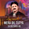 Mera Dil Tutya