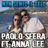 About Non sento il gelo Song