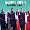 About Hareketli Halay Song