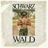 About Schwarzwald Freestyle Song