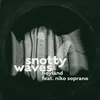 About Snotty Waves Song