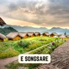 About E SONGSARE Song