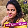 Neha Toy Dil Toir Dale