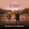 About I'm Sorry Song