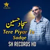 About Tere Pyar Tu Sadkay Song