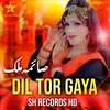 About Dil Tor Gaya Song