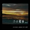 About 不太需要 Song