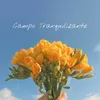 About Campo Tranquilizante Song