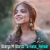 About Stargo Mi Storoo Ta Katal Ashaar Song