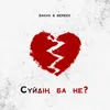 About Сүйдің ба не? Song